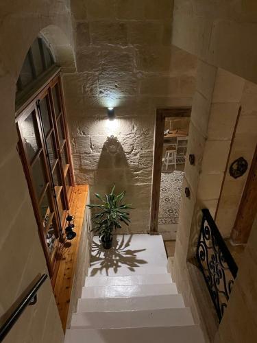 a staircase in a building with a plant on it at '19, Kenn L-Istorja' A remarkable 500 years old house of character in Senglea