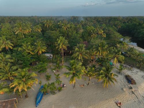 an aerial view of a beach with palm trees at Marari SeaLap Beach Villas in Mararikulam