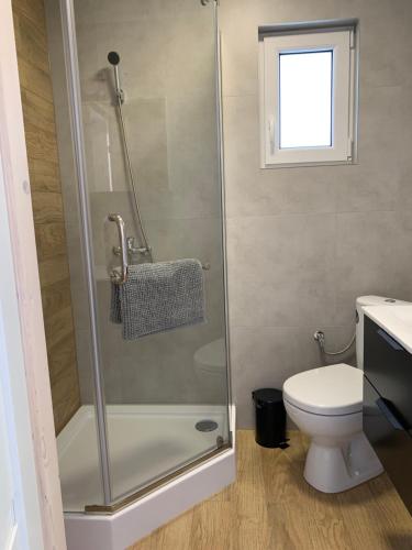 a bathroom with a shower and a toilet at Biała Mewa Gąski in Gąski