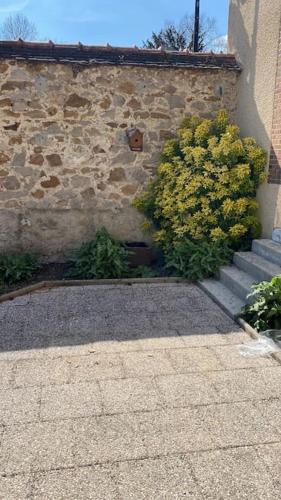 - un bâtiment en pierre avec des escaliers et une brousse jaune dans l'établissement Studio hypercentre Éden 432, à Nogent-sur-Seine