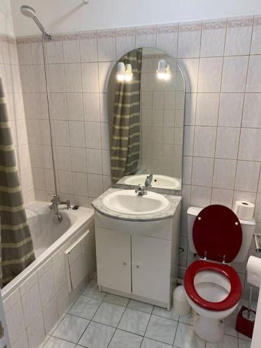 une salle de bain avec un lavabo, des toilettes et un miroir dans l'établissement Studio hypercentre Éden 432, à Nogent-sur-Seine