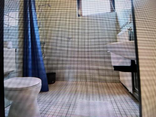uma casa de banho com um WC, um lavatório e um chuveiro em Vosseven69 em Stramproy