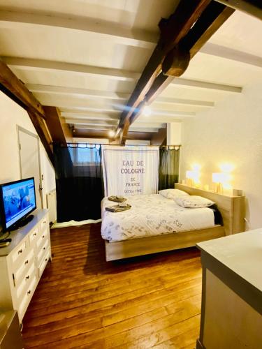 a bedroom with a bed and a tv on a wooden floor at Logements Un Coin de Bigorre - T2 de campagne - Canal plus & Netflix - Wifi fibre - Centre village in Tournay