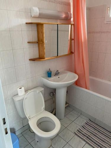 une salle de bain avec toilettes et lavabo dans l'établissement Studio hypercentre Abbatial 431, à Nogent-sur-Seine