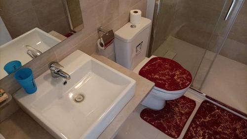 a bathroom with a sink and a toilet and a mirror at T2 no Recanto d' fonte francês in Mindelo