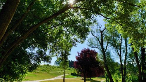 a view of a park with trees and a path at Appartement pro uniquement pas touristes ou familles in Stains