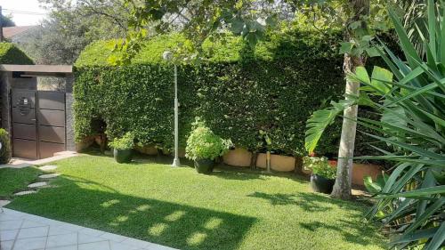 a garden with green plants and a fence at Villa Ariadni in Patra