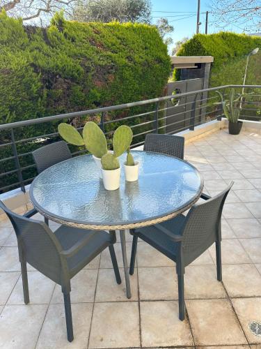 a glass table with two chairs and two potted plants at Villa Ariadni in Patra