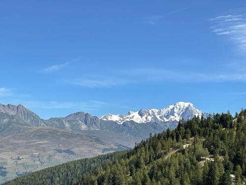 een uitzicht op een bergketen met besneeuwde bergen bij Appartement Plagnes Villages in La Plagne Tarentaise