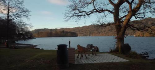 a couple of horses standing on a dock near a lake at 57 The Meadows FallBarrow Park in Bowness-on-Windermere