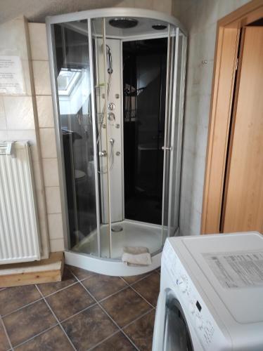 a shower in a bathroom with a washing machine at Ferienwohnung Gartenblick in Ensingen