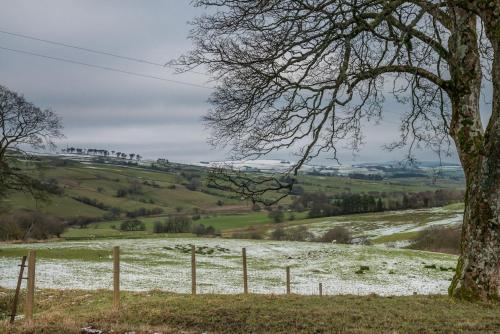 a snowy field with a tree and a fence at Cwmain in Cerrigydrudion