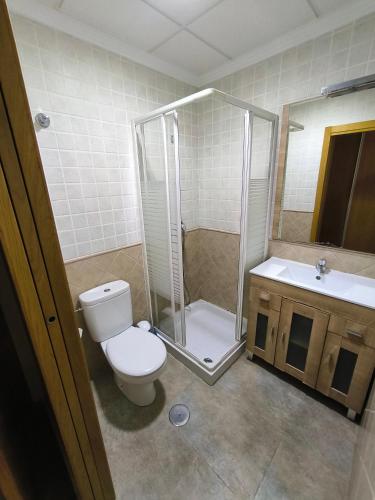 a bathroom with a toilet and a shower and a sink at Ca' La Conchin in Cortez de Pallas
