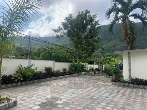 um pátio com uma palmeira ao lado de um edifício em Villa Maria em Port-of-Spain
