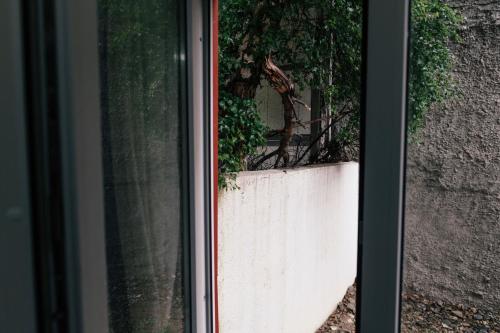 a window with a view of a plant at Departamentos Patagonia in Ushuaia