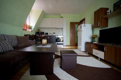 cocina y sala de estar con sofá y nevera en LianaApartament en Sandanski