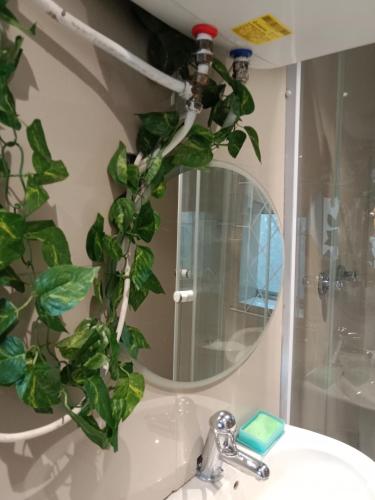 Bilik mandi di Cozy Private En Suite Studio