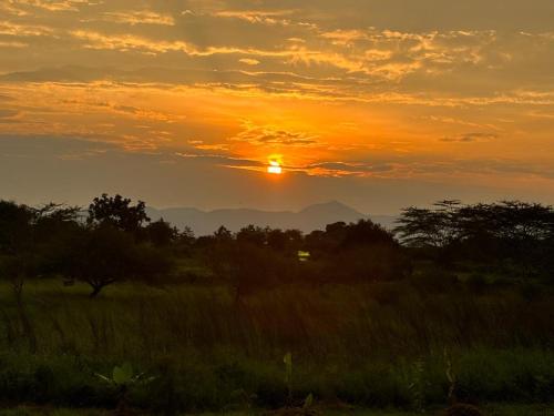 a sunset in a field with the sun in the sky at Jua Manyara Lodge & Camp Site in Mto wa Mbu