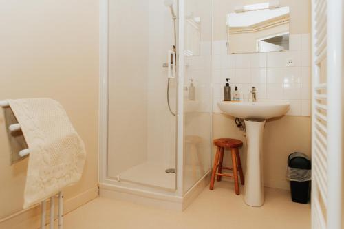 a bathroom with a shower and a sink at Auberge Val sans retour in Tréhorenteuc