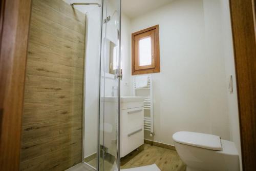 a bathroom with a toilet and a glass shower at Vila Kony in Borsa