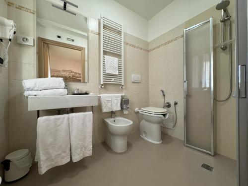 a bathroom with a toilet and a sink and a shower at Hotel Cladan in Assisi