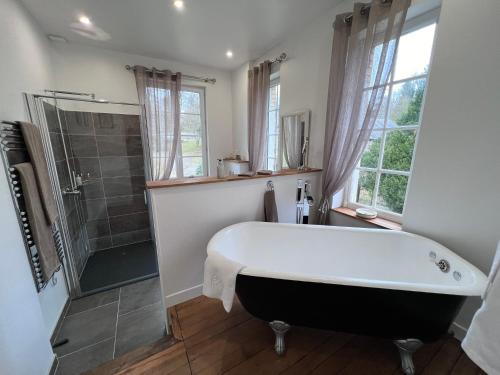 a bathroom with a bath tub and a shower at Chateau du Gue aux Biches in Bagnoles de l'Orne