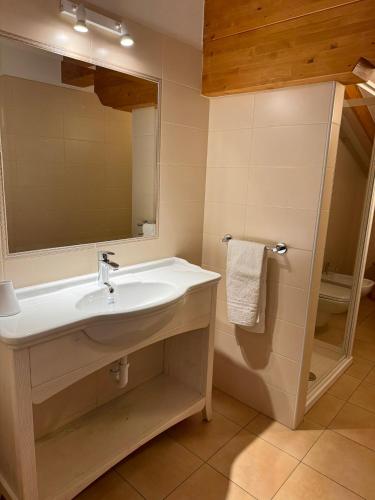 a bathroom with a sink and a mirror at Agritur La Pieve in Taio