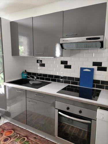 a kitchen with stainless steel appliances and black and white tiles at Petit nid douillet rose et bleu in Ozillac