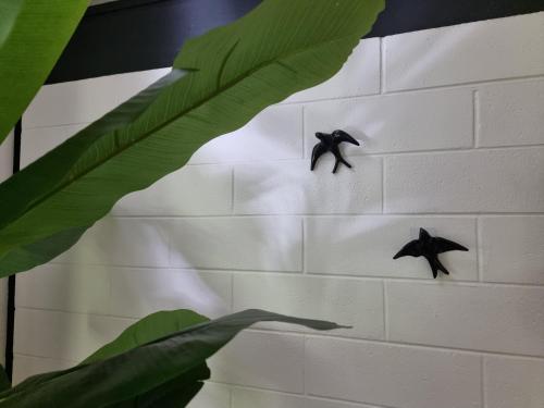 dos pájaros negros colgando en una pared en Villa54, en La Saline-Les-Bains