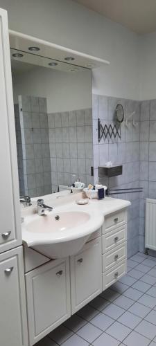 een badkamer met een wastafel en een grote spiegel bij Knuzzz&brocante in Apeldoorn