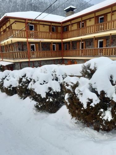 a large building covered in snow with bushes at Natura Tusnad in Băile Tuşnad