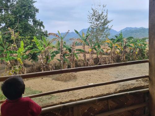 a child looking out of a window at a farm at Jaryum homestay in Dijmur