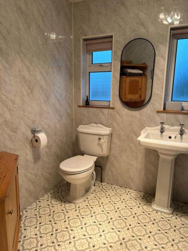 a bathroom with a toilet and a sink and a mirror at Favour Royal Cottage - dog friendly forest escape in Derrygorry