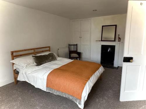 um quarto com uma cama grande e uma lareira em Large Georgian house in heart of Exeter em Exeter