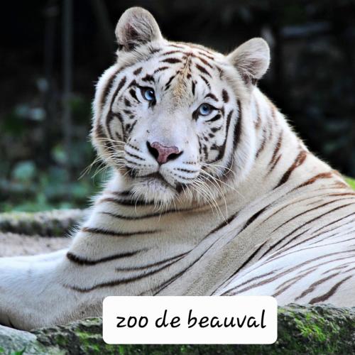 Gite de la Belle Vie