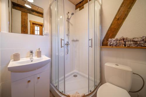 a bathroom with a shower and a toilet and a sink at Górski Sad - Bazylia in Piechowice