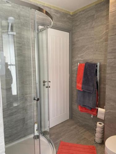 a bathroom with a shower and a toilet and a sink at Maisonette flat Aberystwyth in Aberystwyth