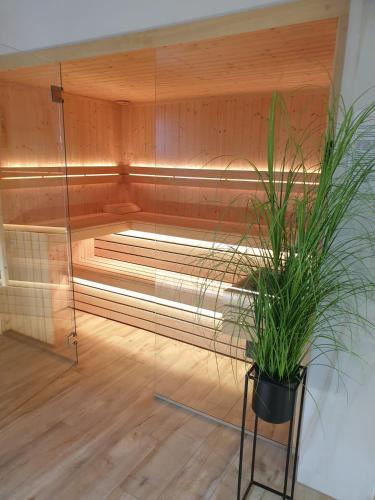 a sauna with a potted plant in a room at Apartamenty Wakacyjne Historie in Międzylesie
