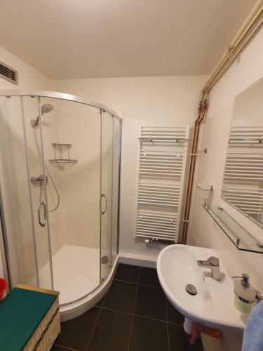 Un baño de Apartmán U kostela