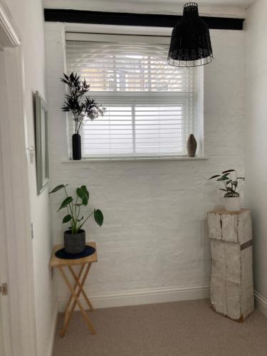 een kamer met een raam en een tafel met planten bij Private Double Room with Ensuite, No Breakfast, Truro City Centre in Truro