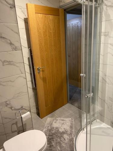a bathroom with a toilet and a glass shower at Aberystwyth maisonette flat in Aberystwyth