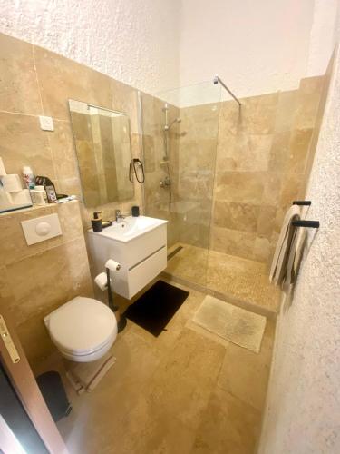 une salle de bain avec toilettes, douche et lavabo dans l'établissement Très bel appartement les pieds dans l’eau, à Appietto
