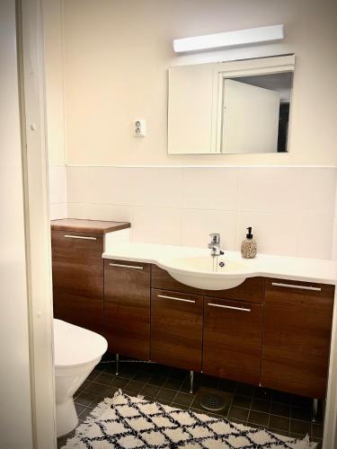 a bathroom with a sink and a toilet and a mirror at Kulta Villa, keskellä Vuokattia sisältyy Sauna, ilmainen Pysäköinti, Wi-Fi, 65smartTV, oma pieni piha alue, sopii perheille in Vuokatti