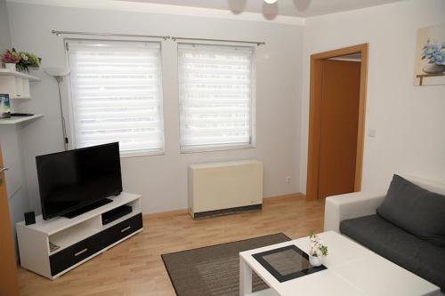 Televiisor ja/või meelelahutuskeskus majutusasutuses "Waldhäuschen" am Waldesrand