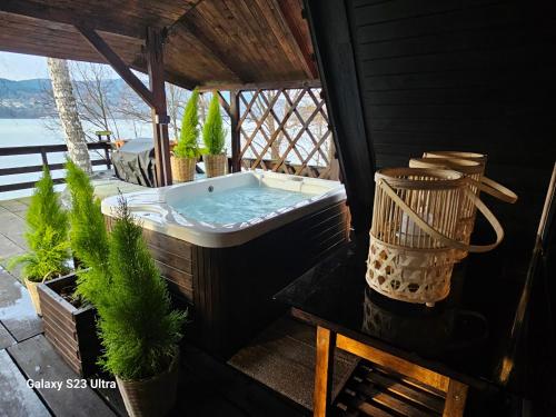 eine Badewanne auf einer Veranda mit Topfpflanzen in der Unterkunft Dom nad jeziorem in Żywiec