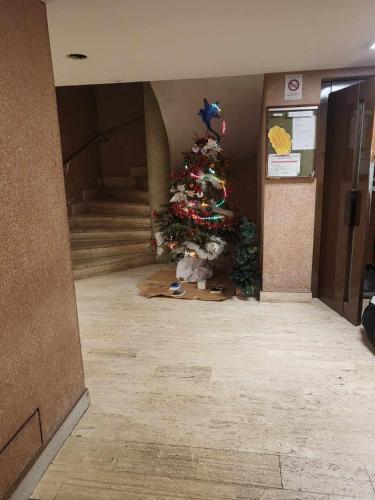 un arbre de Noël dans le couloir d'un immeuble dans l'établissement Yan's, à Le Pré-Saint-Gervais