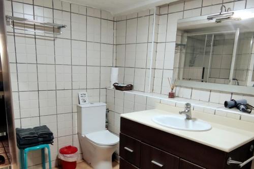 W łazience znajduje się toaleta, umywalka i lustro. w obiekcie Apartamento entero en la montaña w mieście El Pont de Vilomara