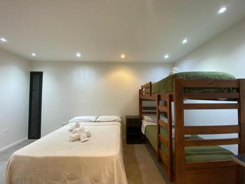 a bedroom with two bunk beds and a ladder at La Virlocha in Cafayate