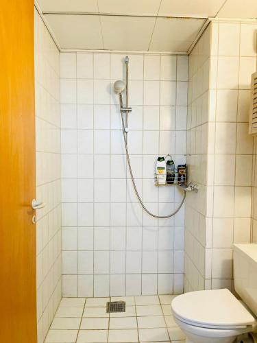 a bathroom with a shower with a toilet at Scandinavian Apartment Hotel - Tobaksgården Budget - 2 room apartment in Horsens