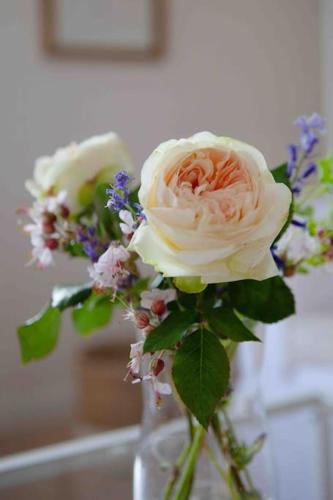 a vase filled with white roses and other flowers at Lohmann's Ferienwohnung in Garstedt